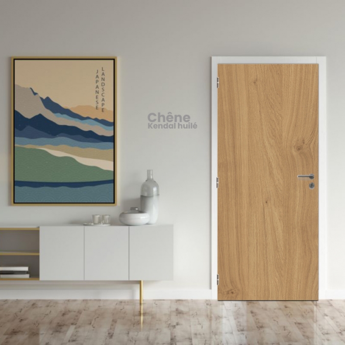 Bloc porte bois 1 vantail habitat